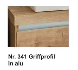 Nr. 341 Griffprofil in alu